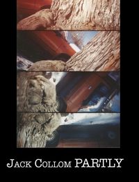 Produktbild: Partly