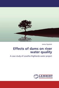 Produktbild: Effects of dams on river water quality