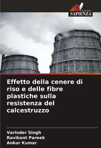 Produktbild: Effetto della cenere di riso e delle fibre plastiche sulla resistenza del calcestruzzo