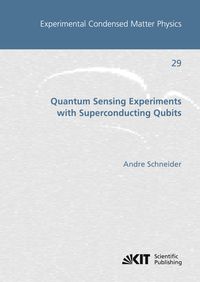 Bild vom Artikel Quantum Sensing Experiments with Superconducting Qubits vom Autor Andre Schneider