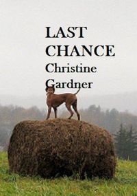 Produktbild: Last Chance