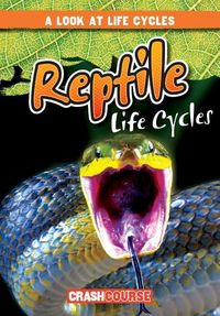 Produktbild: Reptile Life Cycles