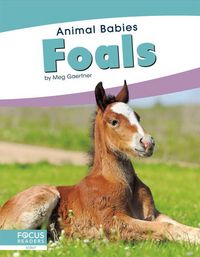 Produktbild: Foals
