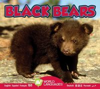 Produktbild: Black Bears
