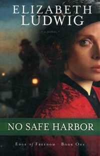 Produktbild: Ludwig, E: No Safe Harbor