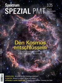 Produktbild: Spektrum Spezial PMT 3/2025 - Den Kosmos entschl&uuml;sseln