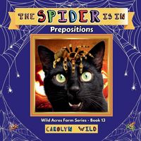 Produktbild: The Spider Is In