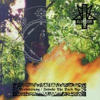 Produktbild: Verw&uuml;stung/Invoke The Dark Age