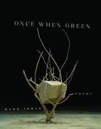 Produktbild: Once When Green