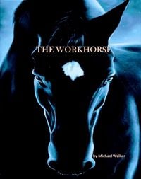 Produktbild: The Workhorse