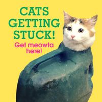 Produktbild: Cats Getting Stuck