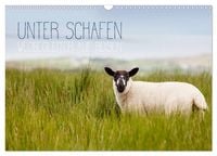 Produktbild: Unter Schafen - Wegbegleiter auf Reisen (Wandkalender 2027 DIN A3 quer), CALVENDO Monatskalender