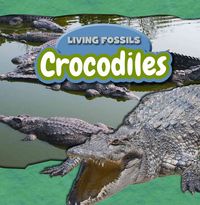 Produktbild: Crocodiles