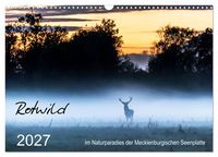 Produktbild: Rotwild - im Naturparadies der Mecklenburgischen Seenplatte (Wandkalender 2027 DIN A3 quer), CALVENDO Monatskalender