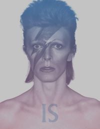 Produktbild: David Bowie Is