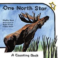 Produktbild: One North Star
