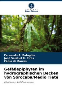 Produktbild: Gef&auml;&szlig;epiphyten im hydrographischen Becken von Sorocaba/M&eacute;dio Tiet&ecirc;