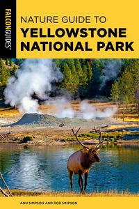 Produktbild: Nature Guide to Yellowstone National Park