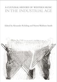 Produktbild: A Cultural History of Western Music in the Industrial Age