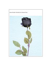 Produktbild: Abschied mit schwarzer Rose