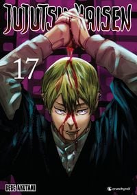 Produktbild: Jujutsu Kaisen &ndash; Band 17