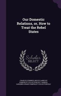 Produktbild: Our Domestic Relations, or, How to Treat the Rebel States