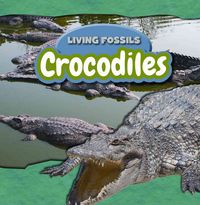 Produktbild: Crocodiles