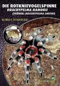 Produktbild: Die Rotknievogelspinne