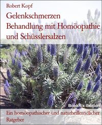 Produktbild: Gelenkschmerzen Behandlung mit Hom&ouml;opathie und Sch&uuml;sslersalzen