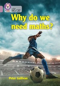 Produktbild: Why Do We Need Maths?