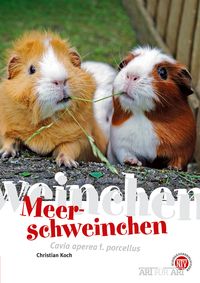 Produktbild: Meerschweinchen