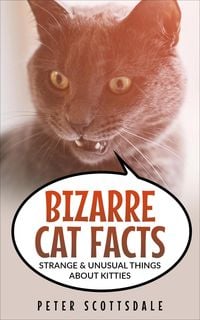 Produktbild: Bizarre Cat Facts: Strange & Unusual Things About Kitties (Our Bizarre Cats Series, #1)