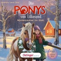 Produktbild: Die Ponys von Lillasund 3. Winterzauber im Stall