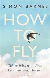 Produktbild: How to Fly