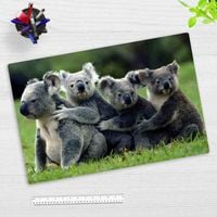 Produktbild: Cover-your-desk Schreibtischunterlage f&uuml;r Kinder Koala, aus hochwertigem Vinyl, 60 x 40 cm