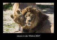 Produktbild: L&ouml;wen in der Wildnis 2027 Fotokalender DIN A3