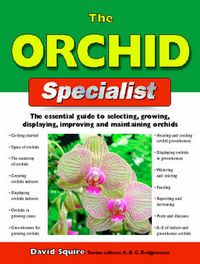 Produktbild: Squire, D: The Orchid Specialist