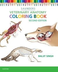 Bild vom Artikel Veterinary Anatomy Coloring Book vom Autor Baljit Singh