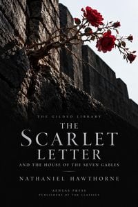 Produktbild: The Scarlet Letter and The House of the Seven Gables
