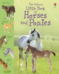 Produktbild: Little Book of Horses and Ponies