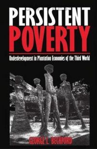 Produktbild: Persistent Poverty
