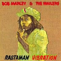 Produktbild: Rastaman Vibration