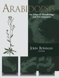 Produktbild: Arabidopsis