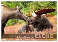 Produktbild: Auf den Spuren der Elche (Tischkalender 2026 DIN A5 quer), CALVENDO Monatskalender