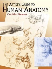 Produktbild: The Artist's Guide to Human Anatomy