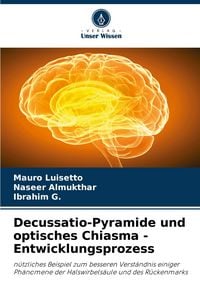 Produktbild: Decussatio-Pyramide und optisches Chiasma - Entwicklungsprozess