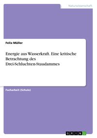 Produktbild: Energie aus Wasserkraft. Eine kritische Betrachtung des Drei-Schluchten-Staudammes