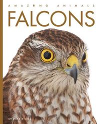 Produktbild: Falcons
