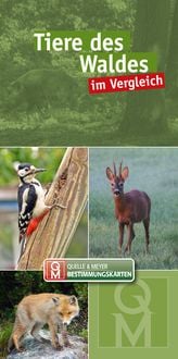 Produktbild: Tiere des Waldes im Vergleich