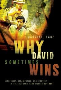 Produktbild: Why David Sometimes Wins